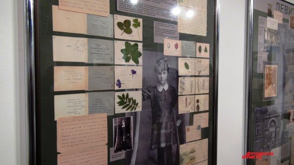 Алексей Вангенгейм в письмах готовил дочку к школе и собирал с ней гербарий.