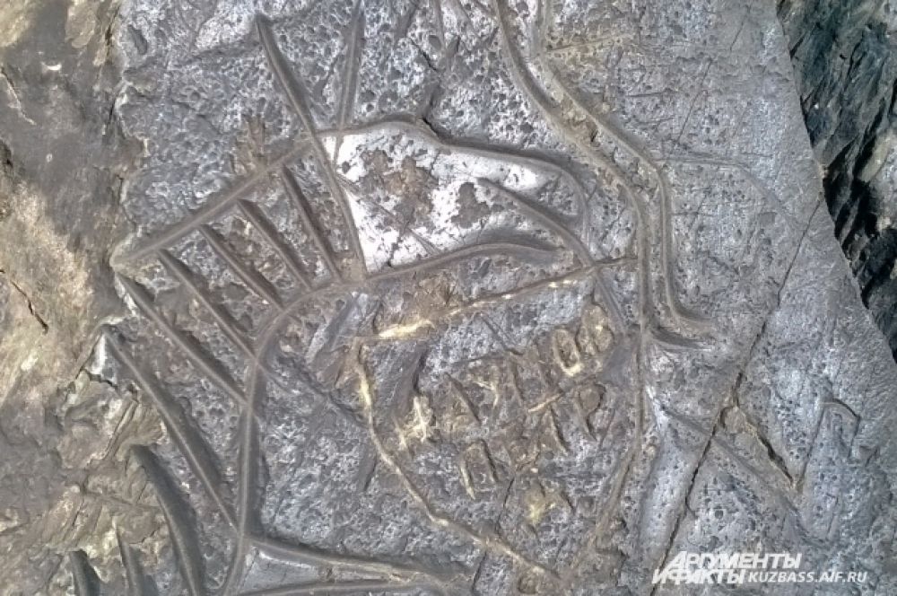 По поверьям древних, лось - прародитель всего живого на земле.