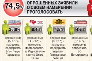 Выборы 2014