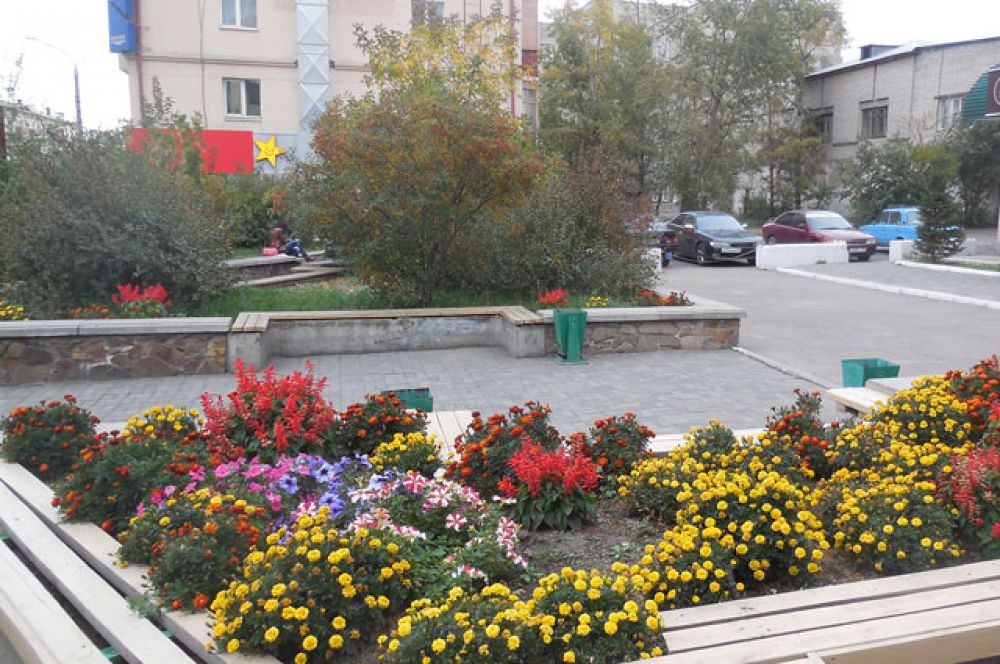 Цветов в столице края ещё много.