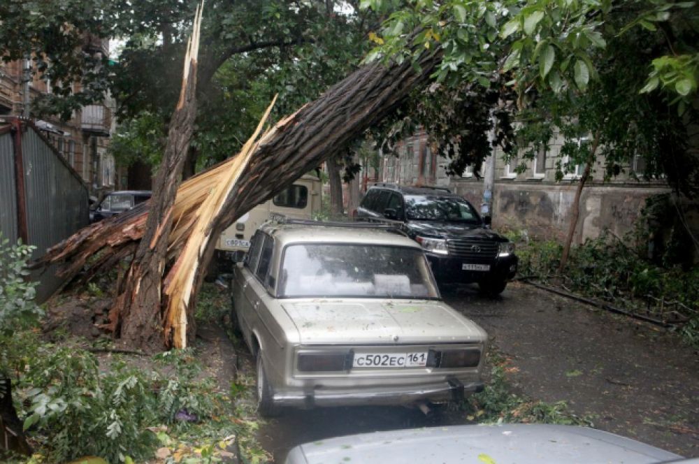 Поваленные ураганом деревья в центре Ростова - обычное явление.