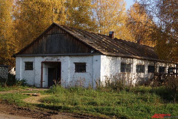 Уничтожение ипподрома приведет к культурному коллапсу в Пермском крае, так как для многих жителей это место является прекрасной площадкой для семейного отдыха.