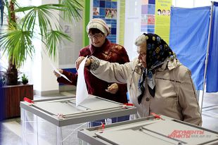 Выборы