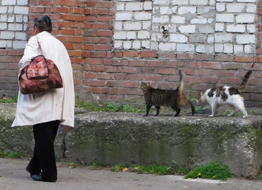 Кормилица