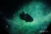 Фрагмент донецкого фильма. На кадре - детально смоделированный обитатель облака Оорта - области на внешней границы нашей системы. Объекты из этой области обычно становятся ядрами комет.