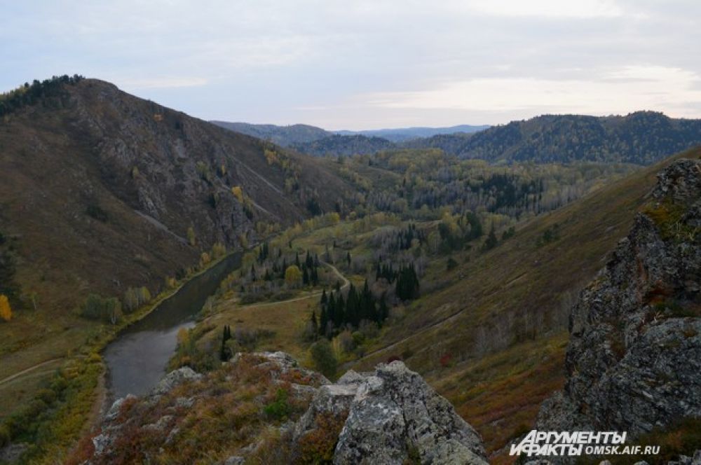 Река Белая в Курьинском районе.