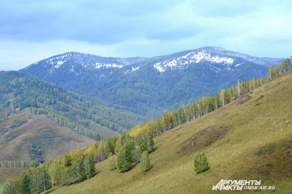 Чарышский район.