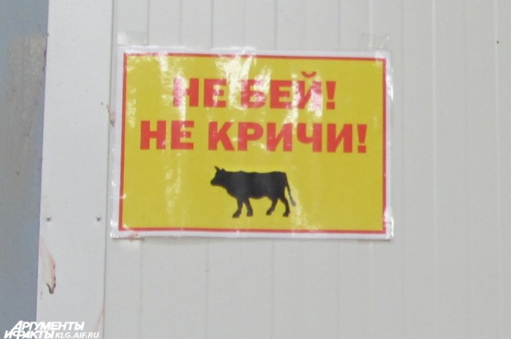 Этот призыв - обязательное требование для всех работников.