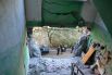 В Славянске застекляют выбитые окна