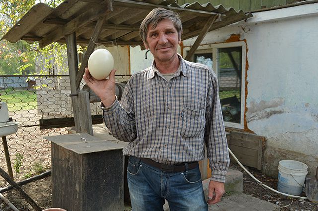 Валерий Королёв демонстрирует страусиное яйцо весом в два килограмма.