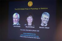 Нобелевская премия в области физиологии и медицины присуждена неврологам.