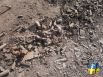 Трагедия под Иловайском: полтора месяца спустя