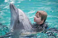 Дельфины не только спасают утопающих, но и лечат больных ДЦП и аутизмом деток.