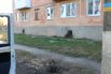 Бои в Счастье