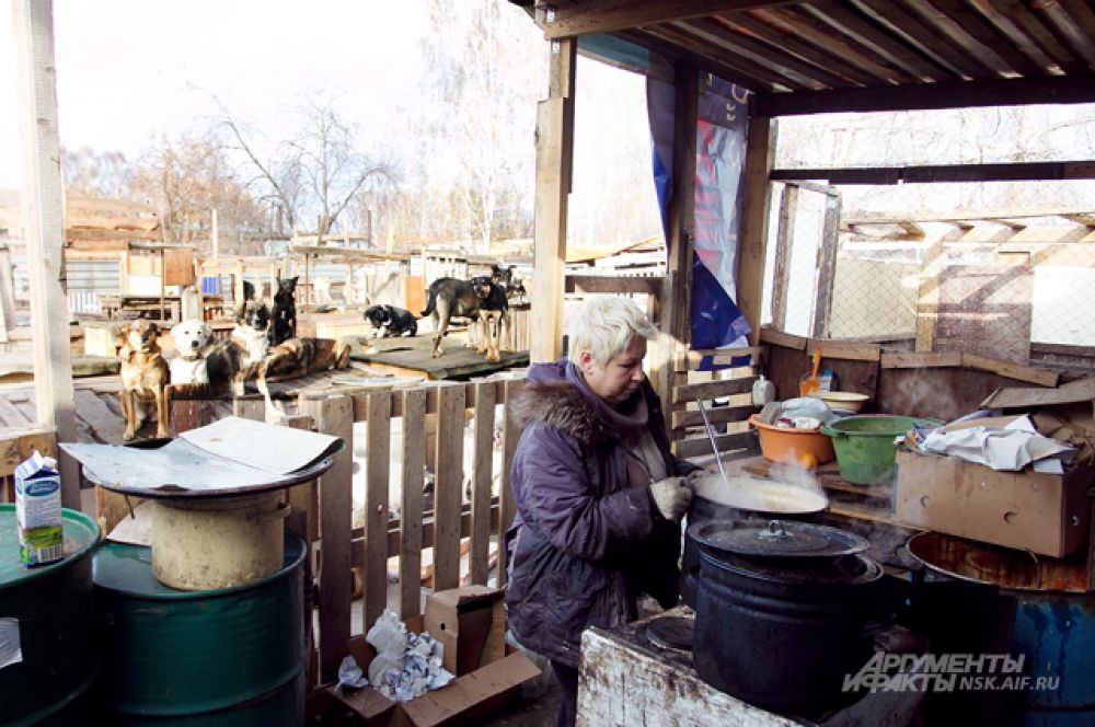 Еду для оравы собак готовят в эмалированных вёдрах.