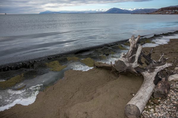 Сейчас берега Байкала покрыты толстым слоем гниющей водоросли.