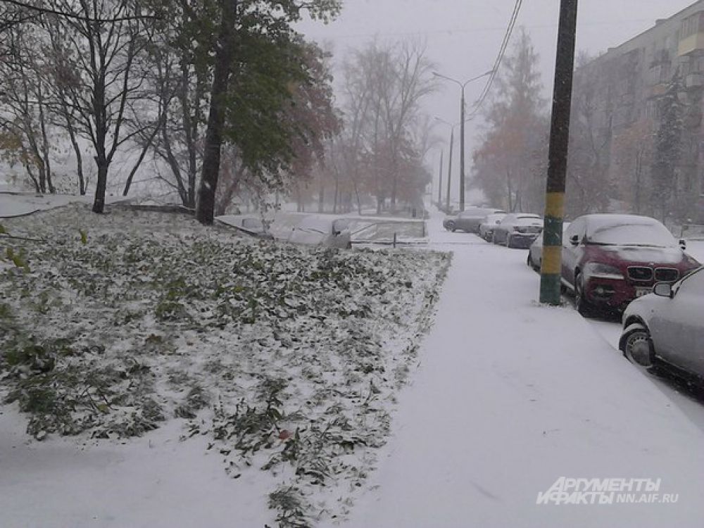 Двор в центре Нижнего Новгорода
