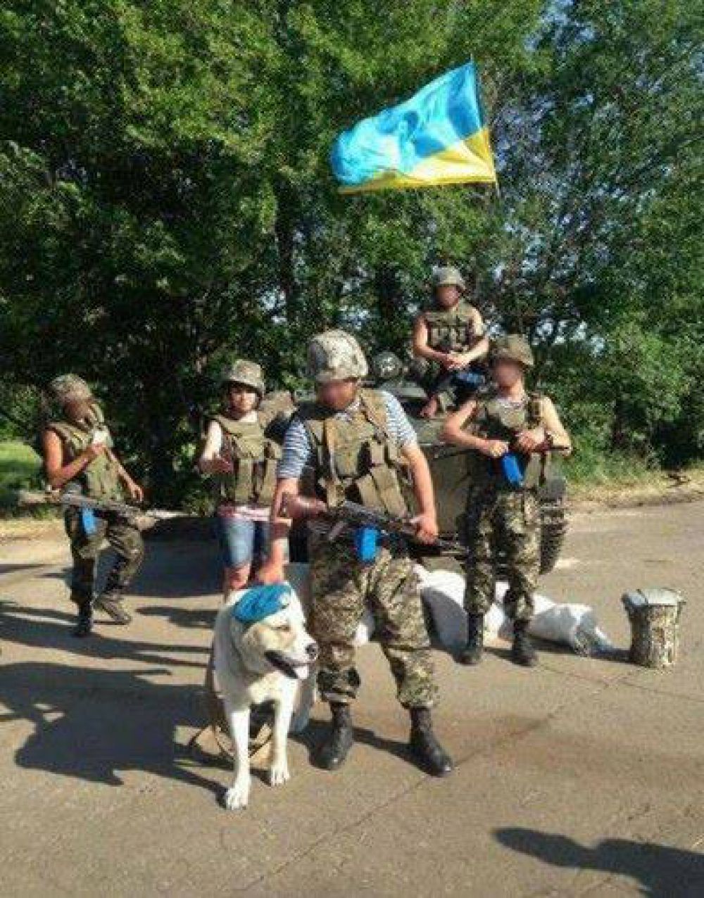 Коты и собаки в зоне АТО
