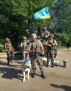 Коты и собаки в зоне АТО