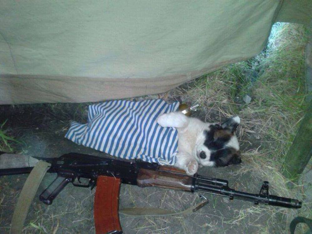Коты и собаки в зоне АТО