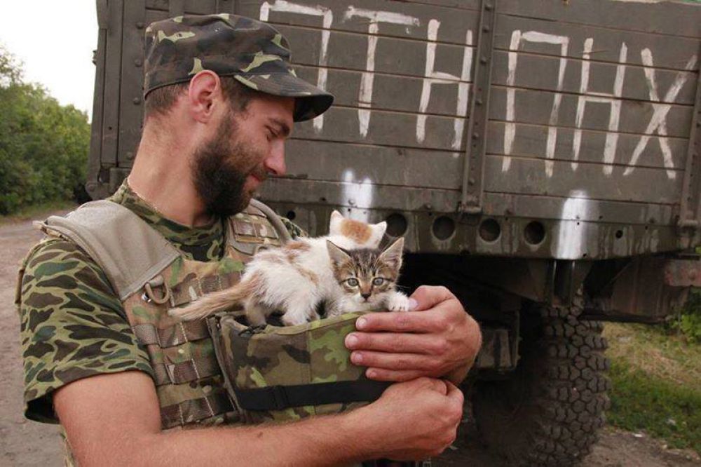 Коты и собаки в зоне АТО