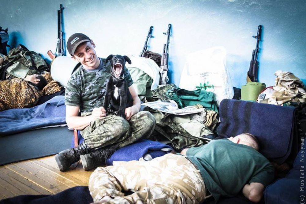 Коты и собаки в зоне АТО