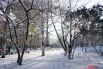 По прогнозам синоптиков, в ближайшее время, а именно с 22 октября, в Пермском крае ожидаются сильные снегопады и метели.