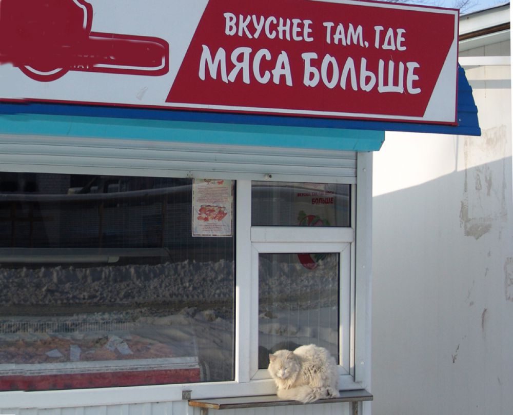 Где больше мяса - там я