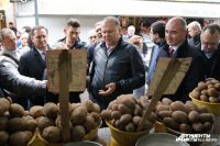 Картофеля на складах области много, однако на рынках его продают по 30 руб. за кг.