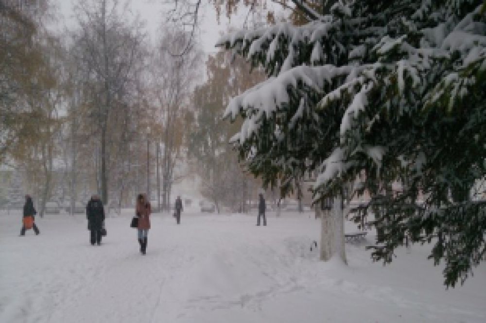 Ель