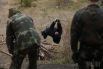 Тренировка военных и добровольцев на Марусином полигоне