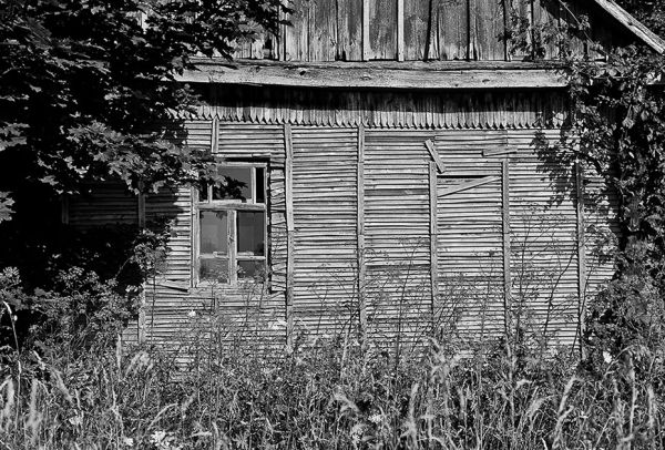 В деревне Гладское Навлинского района живут лишь репейник и чертополох, создавая вместе непролазный бурьян.