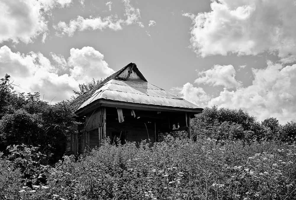 В деревне Уруково Трубчевского района остался один дом, где ещё теплится жизнь - хозяева приезжают туда летом, как на дачу.