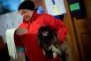 Выборы в Украине