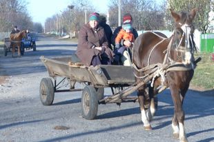 Выборы в Украине