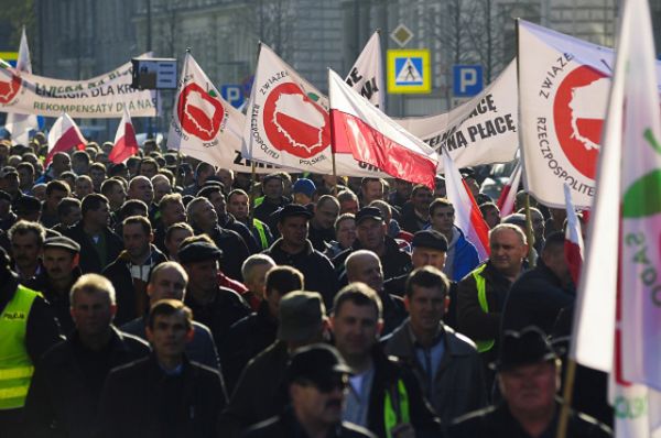 Польша – крупнейший в мире экспортер яблок. В прошлом году она произвела 3 млн. тонн яблок. Треть этого объема раньше экспортировалось в Россию. Куда сейчас девать яблоки фермеры не знают.