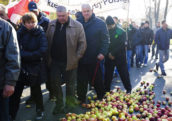 Митингующие потребовали от правительства вывести с рынка около 500 тонн яблок, направив их на переработку для производства спирта или биотоплива. 