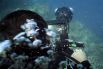 На Галапагосских островах команда Google побывала и под водой. Чтобы избежать пробелов, установка с камерами снимала перекрывающиеся изображения. После обработки по специальному алгоритму повторяющиеся участки удаляются и снимок выглядит непрерывным.