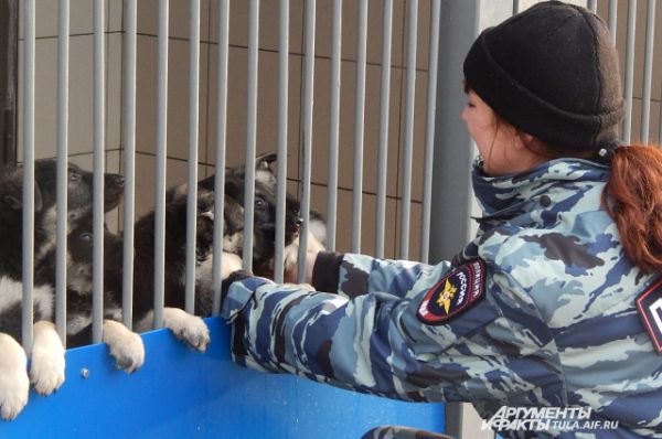 Немало девушек среди кинологов