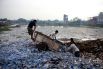  В Бангладеш существует несколько сотен кожевенных предприятий. Около 90% таких производств расположено в городе Хазарибагх. Для обработки кожи на них используется раствор шестивалентного хрома, и ежедневно в местную речку сливается 22 тыс. л этого вещества: оно настолько опасно, что может вызывать рак. Кроме того, местные кожевенники каждый день сжигают горы обрезков и отходов, что тоже не добавляет городу чистоты.