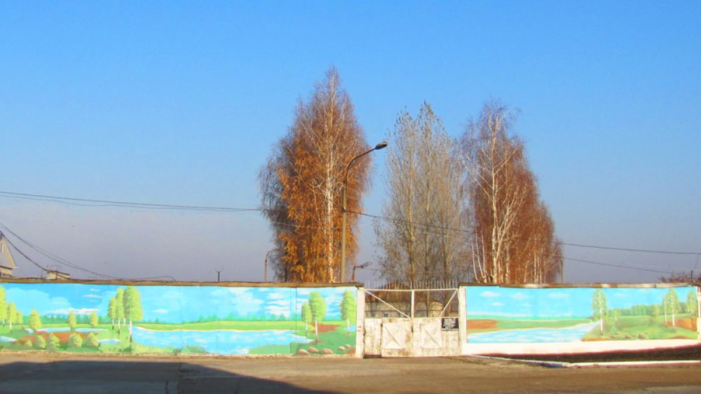 Забор расписан творчески