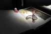 «Птицы Америки» Джона Джеймса Одюбона – самая дорогая печатная книга. Ее цена – $11,5 млн. Из 200 экземпляров первого издания, выпущенной в США в 1827-1838 годах книги, до наших дней дошли только 119. Лишь 11 из них находятся в частных руках, а остальные — в музеях по всему миру. С учетом того, что каждый полный том включает 435 вручную раскрашенных оттисков гравюр размером 90 на 60 см, на которых птицы изображены в натуральную величину, цена одного экземпляра, проданного 7 декабря 2010 года в Лондоне аукционным домом Sotheby's, не кажется удивительной. 