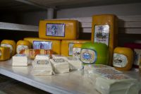 Омская область готова поставлять в Хабаровский край в том числе и сыр.