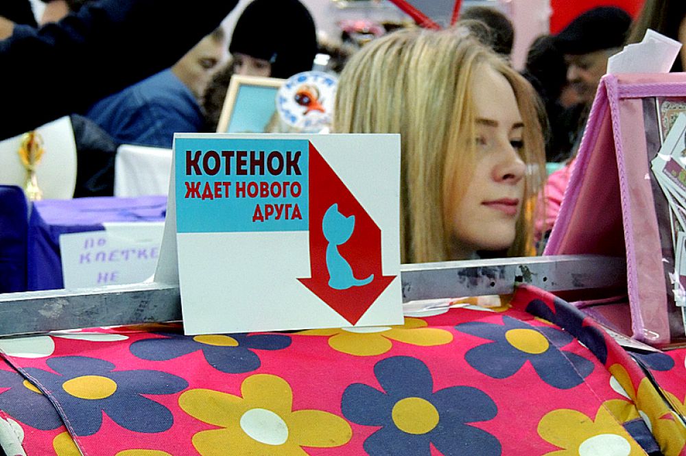 Все, как у людей: все хотят «завести друзей».