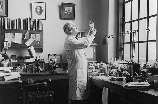 Александр Флеминг, открывший пенициллин.