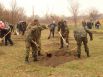 Нацгвардия и ОБСЕ озеленяли Мариуполь