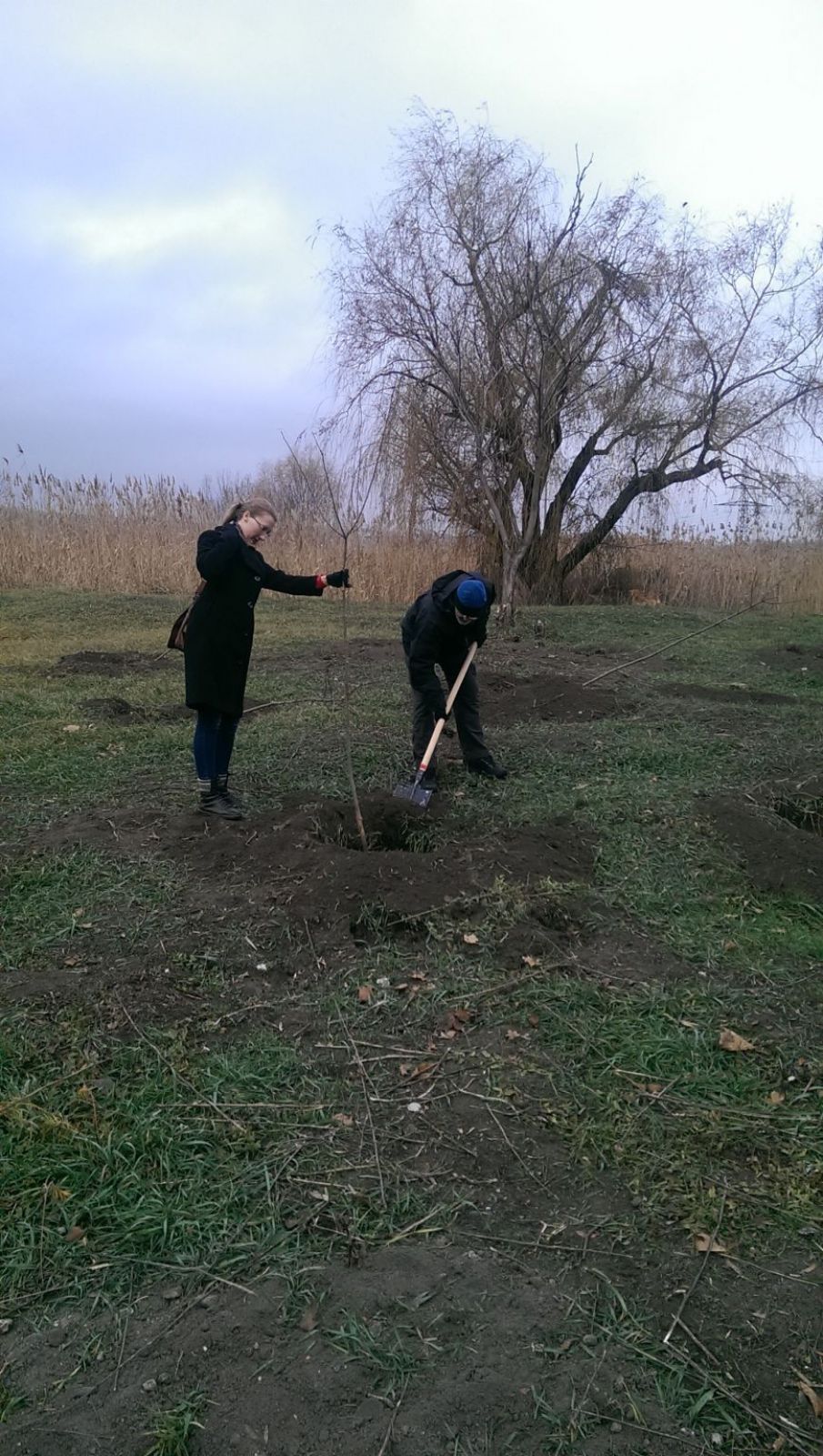 Нацгвардия и ОБСЕ озеленяли Мариуполь