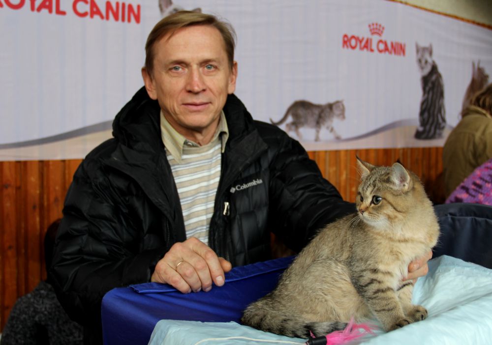 Выставка кошек в Киеве