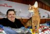 Выставка кошек в Киеве