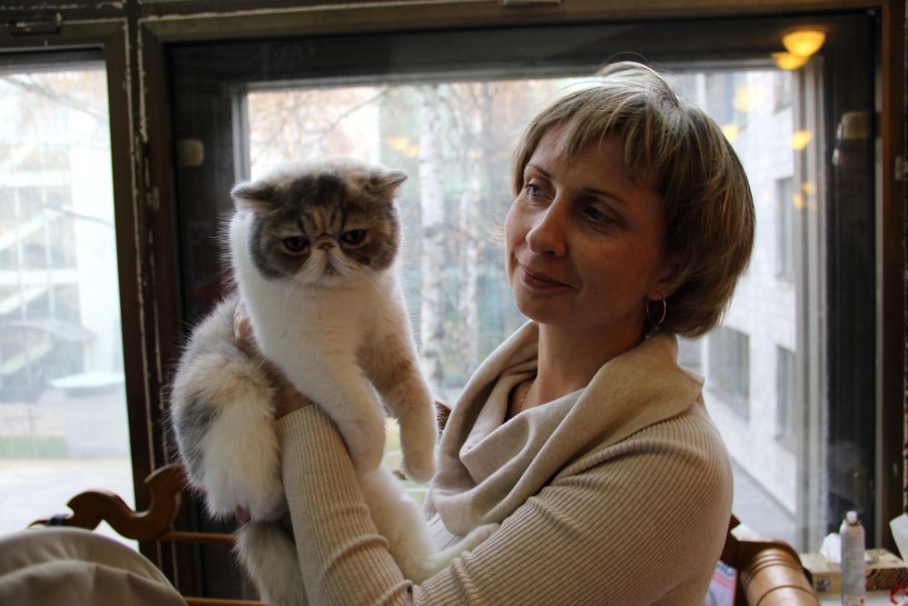 Выставка кошек в Киеве